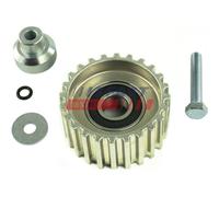 Galoppino/guidacinghia Cinghia Trapezoidale Fast FT44643 per Fiat Iveco