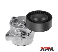 Galoppino Tendicinghia per BMW 3er E46 5 E39 7 E38 X5 E53 Z3 M43 M52 M54