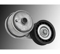 Galoppino Tenditore Cinghia Piatta Tendicinghia CADILLAC ESCALADE V8 5.7L