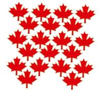 GALPADA 20 Pezzi Spille da Bavero in Metallo con Foglia d Acero Canadese da Spille Decorativi Resistenti per Abbigliamento Quotidiano e Formale Accessori Eleganti e Regali Unici