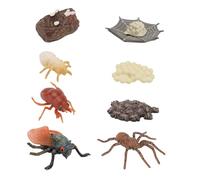 GALPADA 2sets Modelli Animali Plastica Simulata Giocattoli Educazionali Crescita Ciclo Aiutano Ragazzo Ragazza Ragazza Comprendere Natura Mostrano Evoluzione Vita Fascino Unico Utilizzati