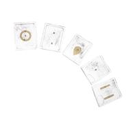 GALPADA 5 Set Set Didattico Elettromagnetismo con Limatura di Ferro, Kit Scientifico per Esperimenti di Fisica, Strumento Dimostrativo di Campo Elettrostatico per Scuole e Laboratori