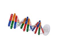 GALPADA Kit di Costruzione a Doppia Spirale per Giocattolo Scientifico Educativo per Comprendere i Geni Umani con Parti Adattabili e Materiali Didattici STEM Colore Casuale Colore Casuale