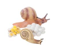 GALPADA Modelli Realistici di Crescita Lumache in Plastica Giocattolo Educativo per Apprendimento Ciclo Vitale Decorazione Didattica per Ragazzi e Ragazze