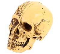 GALPADA Modello di Cranio Medico Realistico in Resina per Istruzione Anatomica, Modello Anatomico del Cranio Umano per Studio e Insegnamento Professionale, Decorazione Scientifica