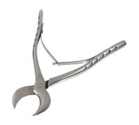 GALPADA Pinza Professionale in Acciaio Inossidabile per Rimuovere Cortecce Strumento Manuale Piccolo e Pratico per Lavorare Legno Pinza Stretta Precisa per Uso Esterno e Fai da Te