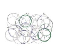 GALPADA Set da 21 Corde di Ricambio per Guzheng, Accessori per Strumenti Musicali a Corda, Corde Acustiche Professionali Tensione Standard per Suoni Potenti e Accordi Consonanti, Adatte