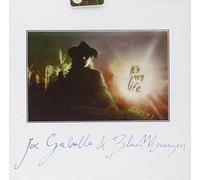 Galullo, Joe - It's My Life