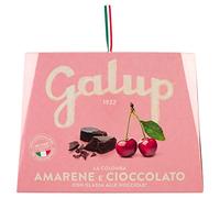 Galup Colomba Amarena e Cioccolato - 750 g