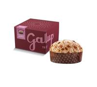 Galup Panettone Artigianale con Amarene e Cioccolato Extra Fondente, a Lievitazione Naturale, Guarnito con Glassa alle Nocciole, Mandorle e Granella di Zucchero - 750 g