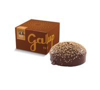 Galup Panettone Artigianale Farcito con Crema al Gianduja Streglio a Lievitazione Naturale, Senza Uvetta e Canditi, Guarnito con Glassa al Cioccolato e Granella di Nocciole - 1 Kg
