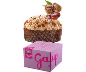 Galup Panettone Gran Galup Marrons Glaces 1kg NV