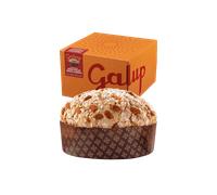 Galup Panettone Gran Galup senza Canditi 750g NV