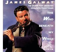 Galway James - Wind Beneath My Wings