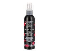 Gama Italy Professional Protect Ion, Spray per Proteggere i Capelli Durante Lo Styling