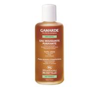 Gamarde GMD00049 Sebo-Control Purifying Foaming