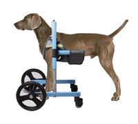 Gamba anteriore per cani disabili, con 4 ruote, per cani di taglia piccola, media e grande, supporto per la mobilità delle gambe anteriori, passeggino per addestramento cani disabili