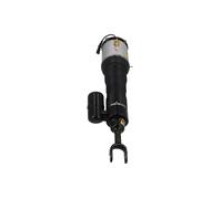 Gamba elastica con ammortiz. pneumatico anteriore Dx per BENTLEY VW CONTINENTAL