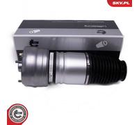 Gamba elastica con ammortiz. pneumatico anteriore Dx per PORSCHE PANAMERA