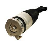 Gamba elastica con ammortiz. pneumatico anteriore Dx per VOLVO XC90