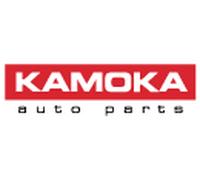 Gamba elastica con ammortiz. pneumatico anteriore Sx per AUDI A6 A6 Allroad