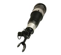 Gamba elastica con ammortiz. pneumatico Assale anteriore Dx per AUDI A6 A6 Allro