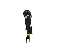Gamba elastica con ammortiz. pneumatico Assale anteriore Sx per ALPINA BMW 6 7 B