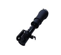 Gamba elastica con ammortiz. pneumatico Assale anteriore Sx per LAND ROVER RANGE