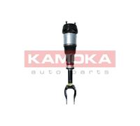 Gamba elastica con ammortiz. pneumatico Assale anteriore Sx per MERCEDES-BENZ CL