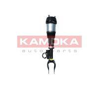 Gamba elastica con ammortiz. pneumatico Assale anteriore Sx per MERCEDES-BENZ CL