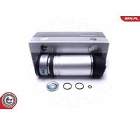 Gamba elastica con ammortiz. pneumatico Assale posteriore Dx per BMW 7