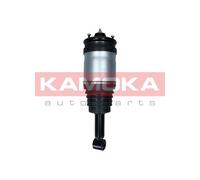 Gamba elastica con ammortiz. pneumatico Assale posteriore per LAND ROVER RANGE R