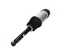 Gamba elastica con ammortiz. pneumatico bilaterale per TESLA MODEL S