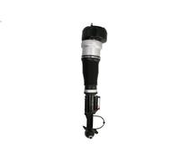Gamba elastica con ammortiz. pneumatico MAGNUM TECHNOLOGY per CLASSE S 3 2005-