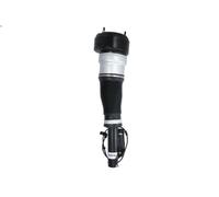 Gamba elastica con ammortiz. pneumatico MAGNUM TECHNOLOGY per CLASSE S 3 2006-