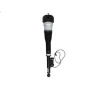 Gamba elastica con ammortiz. pneumatico MAGNUM TECHNOLOGY per CLASSE S 3 2006-