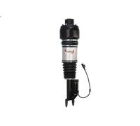 Gamba elastica con ammortiz. pneumatico MAGNUM TECHNOLOGY per CLS (C219) 3 2008-
