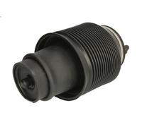 Gamba elastica con ammortiz. pneumatico MAGNUM TECHNOLOGY per GX 4.7 2001-