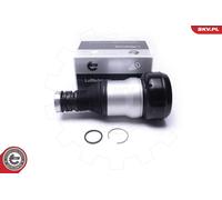 Gamba elastica con ammortiz. pneumatico posteriore Dx per MERCEDES-BENZ CLASSE S