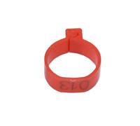 Gambe di pollo, Fasce for zampe di pollame, pollo, anatra, oca, multicolore, 25 mm x 10 mm, confezione da 100, modello 001-200(Red)