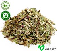 Gambo di echinacea con fiore Tisana - per influenza e raffreddore,...