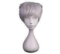 Game Anime Cosplay Wig Short Straight Synthetic Hair Overwatch Soldier 76 Boy Costume Party Silver Grey Wigs For Men