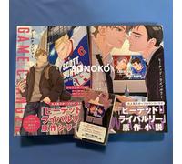 Game Changer Heated Rivalry Book Japan 2 Vol Set Carte Olografiche Rachel Reid