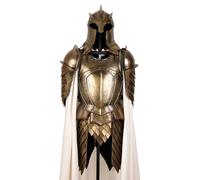 Game of Thrones King's Guard Armor Set Helmet Cape Wearable House of Dragons
