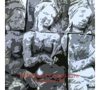 Gamelan Of Central Java - X: Sindhen Trio