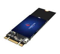 GAMERKING 256 GB M.2 2260 SATA III 6 Gb/s SSD Unit a stato solido interna ad alte prestazioni per desktop e laptop