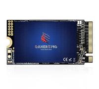 GAMERKING SSD 256GB M.2 2242 NVMe PCIe Gen3.0x4 42mm M.2 NVMe SSD M Key 3D NAND TLC Unità a stato solido interna ad alte prestazioni per Ultrabook Desktop Notebook PC