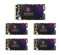 Gamerking SSD M.2 2242 64 GB Unità a stato solido interna ad alte prestazioni per PC desktop e laptop Confezione da 5 unità [64 GB (5 confezioni), M.2 2242]
