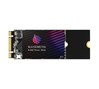 Gamerking SSD M.2 2260 64 GB NGFF Disco rigido interno a stato solido ad alte prestazioni per computer desktop SATA III 6 Gb/s M2 SSD (64 GB, M.2 2260)