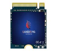 GAMERKING Unità a stato solido interna M.2 2230 SSD NVMe PCIe Gen 3.0X4 da 512 GB, compatibile con Steam Deck/Microsoft Surface pro 8/pro 7+/pro X/laptop3/laptop4 (M.2 2230 PCIe 512 GB)
